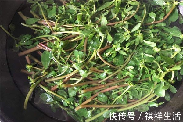 降火|秋天来了,推荐多吃以下食物,排毒降火,降压减脂,清理体内垃圾