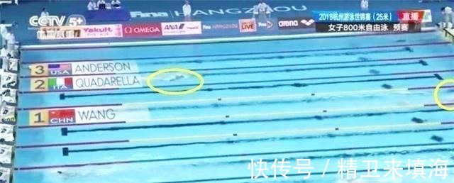 |中国游泳小将闹国际笑话! 因数错多游1圈 外国对手也懵圈拼命追她!