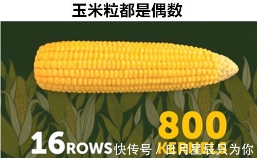 12个即便“满腹经纶”的学霸,也可能不知道的罕见冷知识