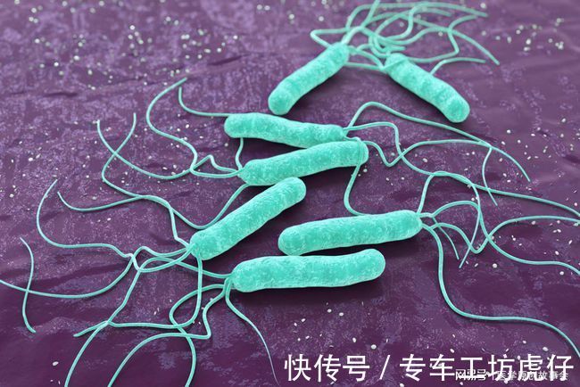 幽门螺杆菌|体内有幽门螺杆菌,身体往往有四个标志,占的越多,越要及时治疗
