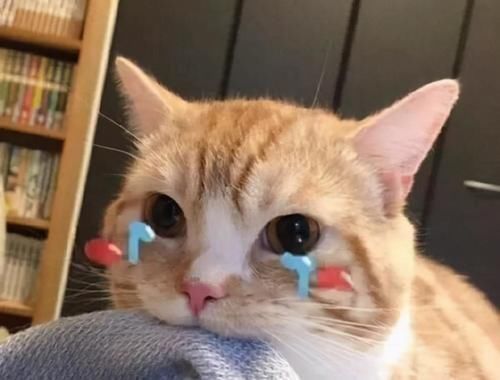 网友们|因孩子姓“车”,妈妈晒出孩子的名字,网友们笑破肚皮