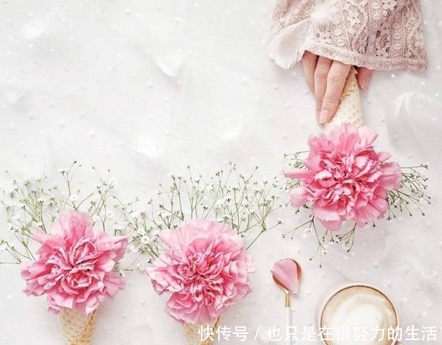 冬至|最新冬至祝福语,句句表真情,字字传心意!