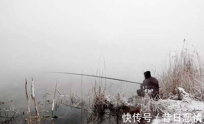 鲫鱼|钓友们冬钓鲫鱼选钓位,既不可死板教条,又不能走极端