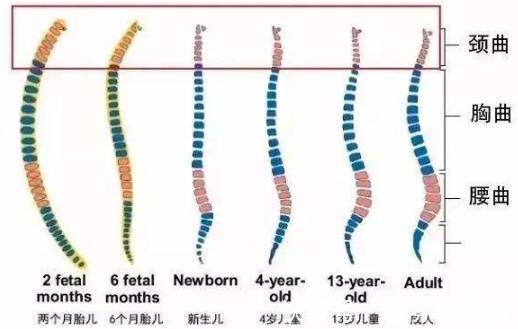 后脑勺|宝宝睡觉滚来滚去，枕头的存在重要吗孩子多大才能用枕头