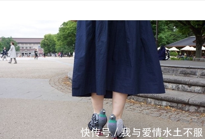 大爷|一群鸽子围着女子不让她走，仔细看她脚上的鞋子，大爷都震惊了！