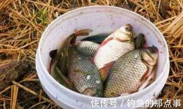 悄悄跟你说,蚯蚓钓鱼大有讲究,唯独这四个用法最关键,别外传