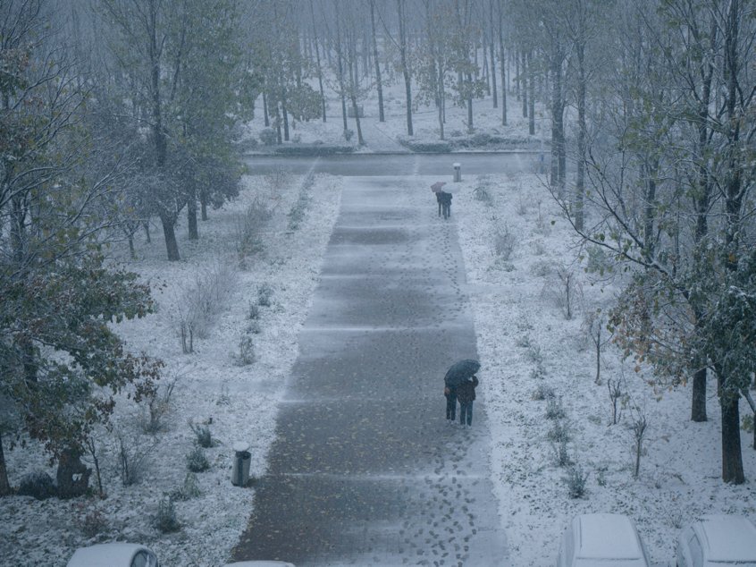 冬雪|山传初雪，许你一场深情共白头