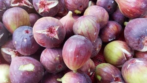 无花果|买这水果,就要挑“烂”的买,新鲜的不要,果店老板越烂越好吃