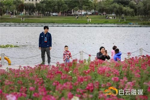 确定不来？有火车经过的公园，宫粉紫荆花开成片，浪漫满屏！