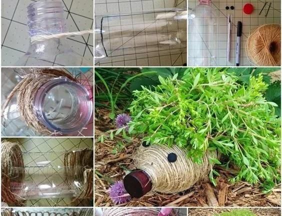 植物|没地种花种菜,没时间浇水几个塑料瓶就能解决,DIY变废为宝