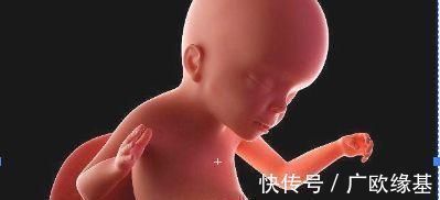 鬼脸|四维彩超做一半,小淘气竟在肚子里干“坏事”,检查后医生都笑了