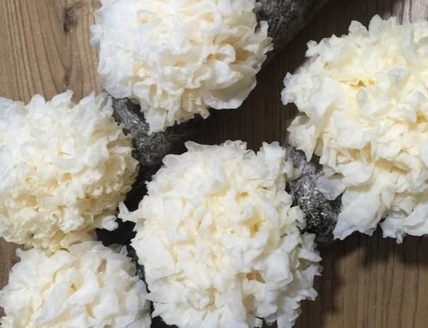 补充胶原蛋白|女人别太节俭,4种食物别不舍得吃,或助你补充胶原蛋白,皮肤细腻