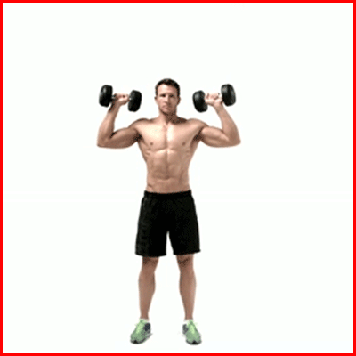 营养|力量健身和跑步锻炼的营养需求是相同的吗?