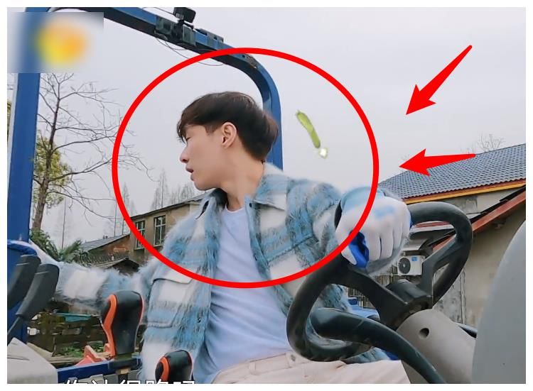 张艺兴来《向往5》充当工具人,忙得镜头都没有,黄磊彻底解放了