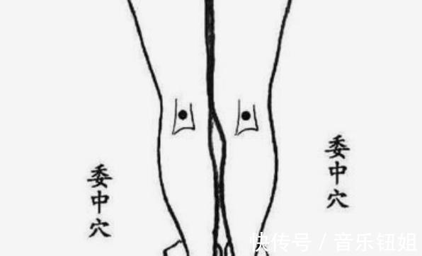 足三里穴|湿气严重怎么办4个穴位每天敲几下,把体内寒、湿毒气都逼出来