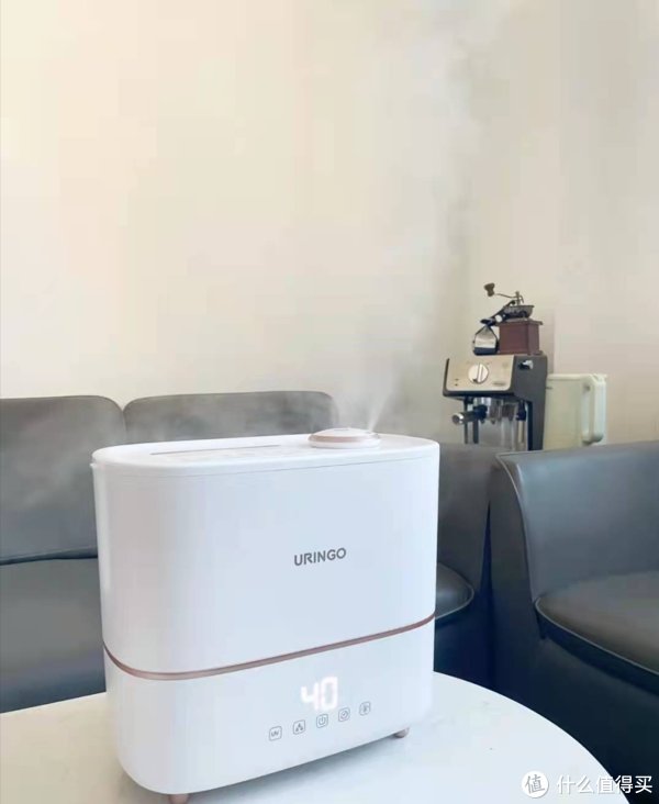 破壁机|家里这5样家电,预算够就建议买好的,预算不够干脆就别买