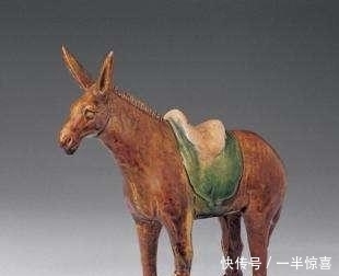 马球运动|倔脾气:唐代女子“驴鞠”为何更具观赏性