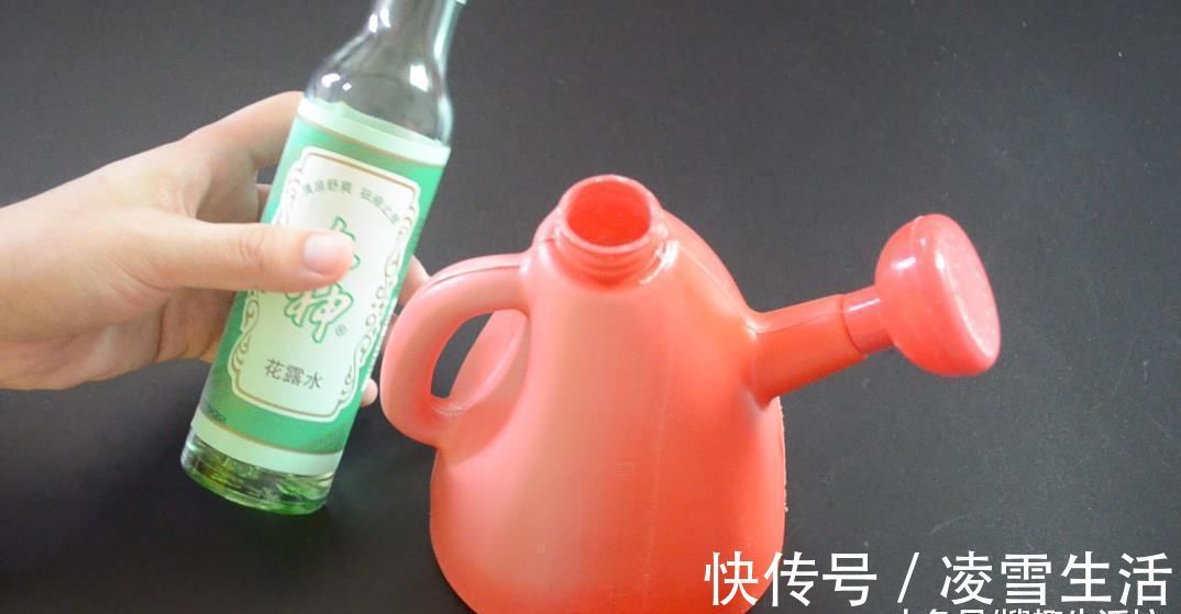 抽完烟卫生间烟味久久不散 教你一个小妙招, 1分钟快速去除烟味