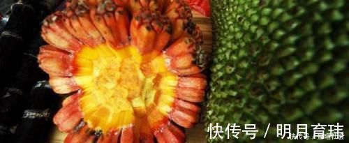 袪皱淡斑|女性想显年轻,几种食物要多吃,美容养颜,袪皱淡斑,早吃早好