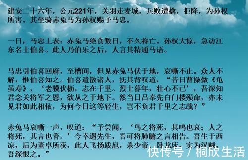 三国演义|19年过去了，当年高考满分作文《赤兔之死》，作者现状如何？