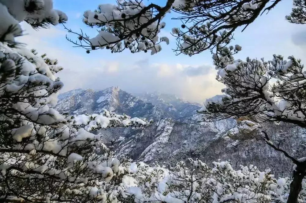 昆嵛山|一场冬雪后，昆嵛山竟变成这样……