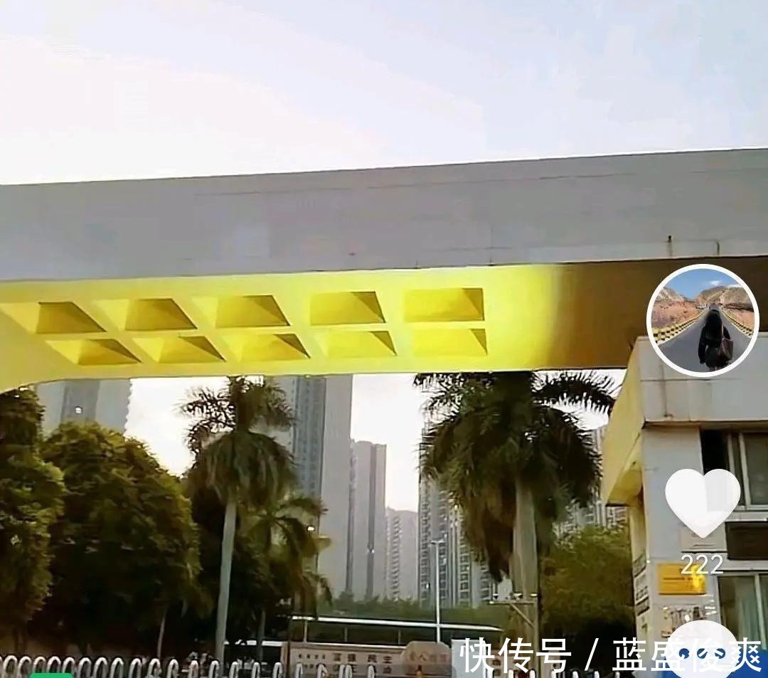 白天鹅|日新月异的变化!全红婵母校从丑小鸭变白天鹅,大门彰显尊贵地位!