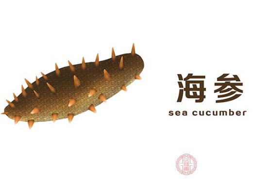 海参的价值和功效是什么