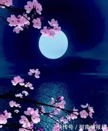 招隐#寒香几缕眉端叠,醉在秋时节,朗月悬空,清风入户,总让芳心惬