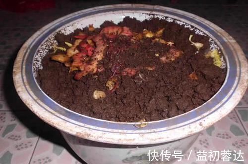 钩体|蚯蚓钓鱼使用小技巧，让钓鱼爱好者少走弯路