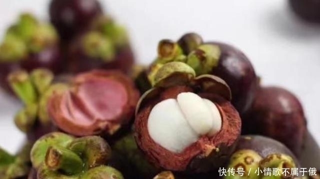 果农|买山竹,不管大小就挑“母”的,果农记住这4点,一挑一个准