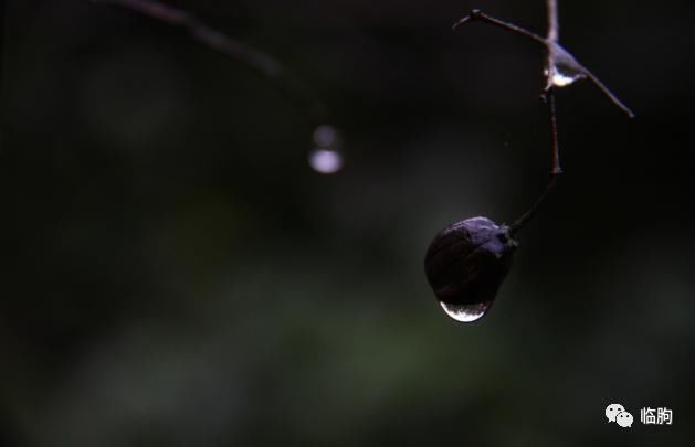  山东诗歌|陈永明：冬雨