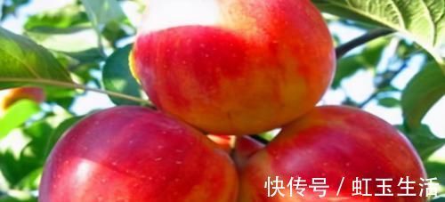 胡萝卜素|对身体很好的3种食物,补益气血、滋养肌肤,好吃也不贵!