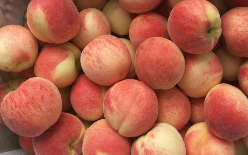 夏天桃子的挑选方法,记住5点,准能买到好吃的桃子