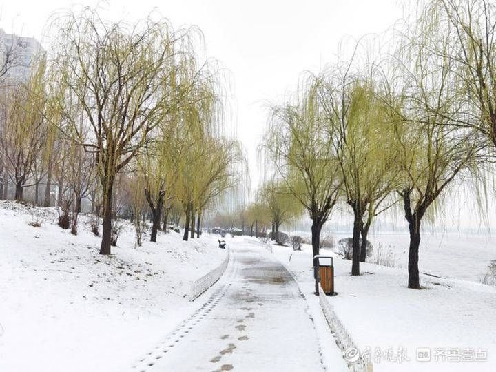 邢台|雪！雪！雪！聊城雪景大片来了，美翻天……