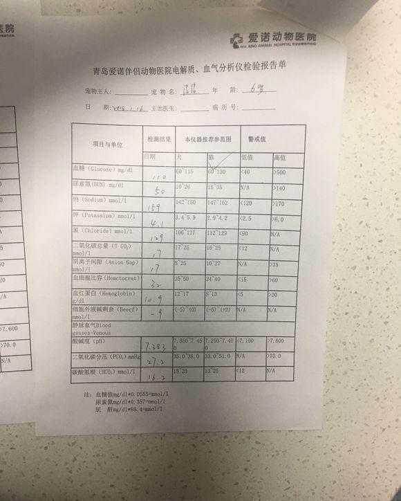 导尿管|七块五买回一只中华田园猫，谁知喂养六年后，噩梦开始了