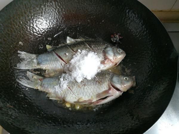 最深|被“误解”最深的鱼,它的全身是宝,比甲鱼营养,一斤5元没人买