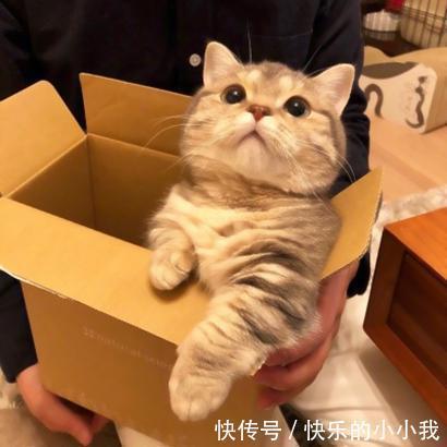 |幽默笑话:记得我跟前男友冷战,前男友是摩羯座,一冷战就没完了