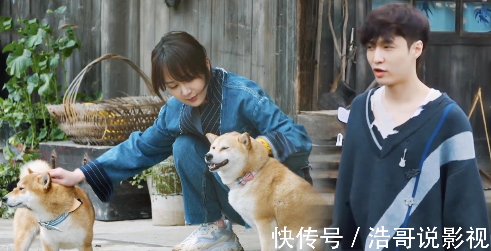 李雪琴|黄磊看穿张艺兴想帮杨紫还债，搞事跟李雪琴相亲，张艺兴吓没人影