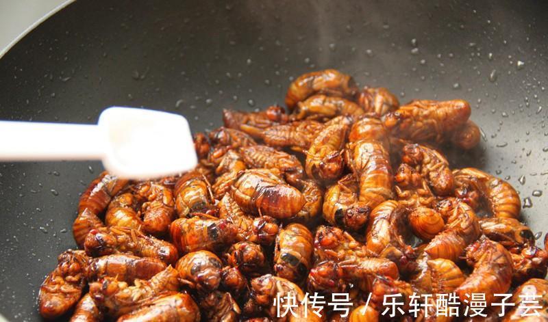 脱壳|天变冷之前,树上这个美味赶紧吃,高蛋白,错过了还要再等明年