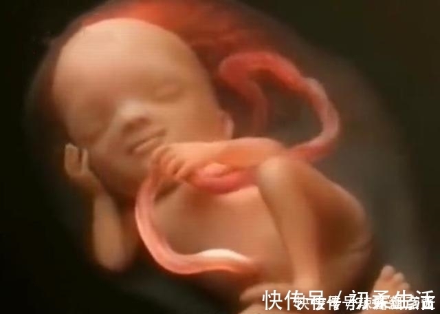 分娩|预产期到了,怎么让宝宝“尽快发动”?试试这几个“催生妙招”