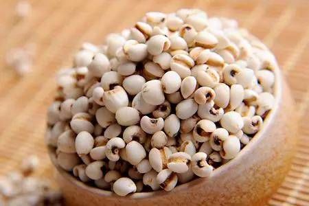 注意，薏米虽然好，但是这3类人绝对不能吃！