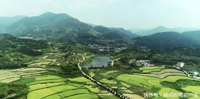  大畈麻饼，家乡的味道！