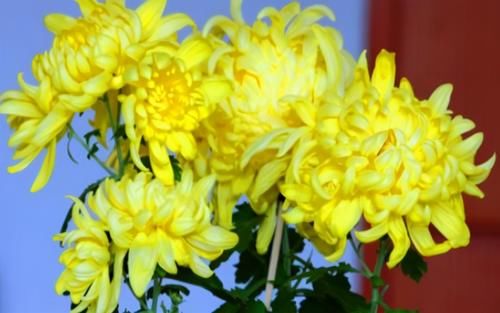 肌膚|夏天不妨多吃3種食物，美容養生，滋潤肌膚，好處多多！