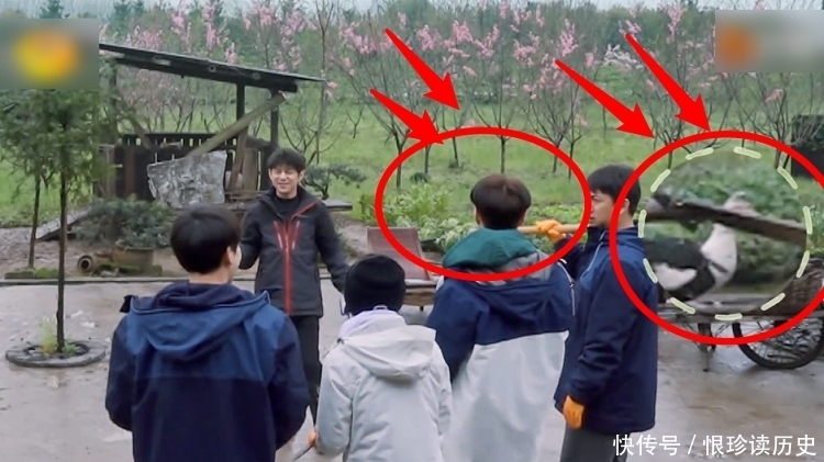 《向往5》嘉宾拍合照,本以为张艺兴主动让C位,原来只是个误会