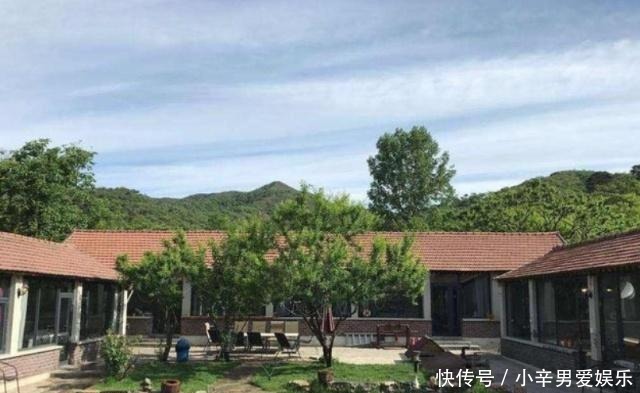 院子|在院子里种几棵树,需要注意哪些问题?这几种树不要随便乱栽!