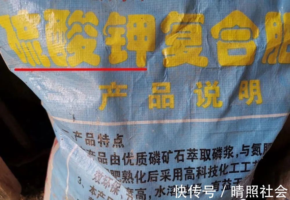 兰花|兰花可以用复合肥吗?季节、方法、种类,这3者缺一不可