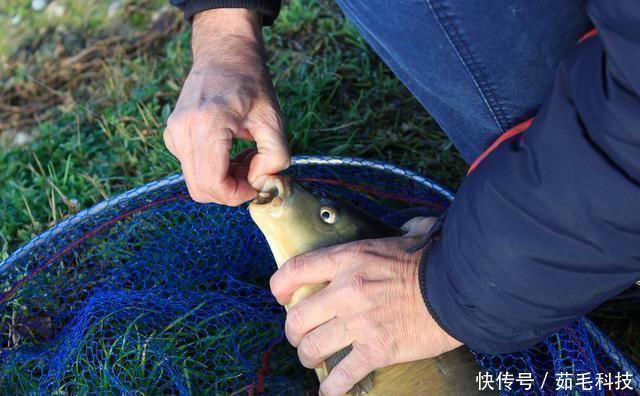 技巧|实用钓鱼技巧分享,掌握这些一准不吃亏,对提升渔获帮助很大