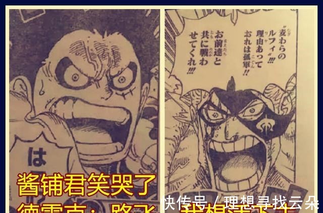 酱铺君|海贼王990话分析德雷克被克比告知路飞很厉害,德雷克我想活下去