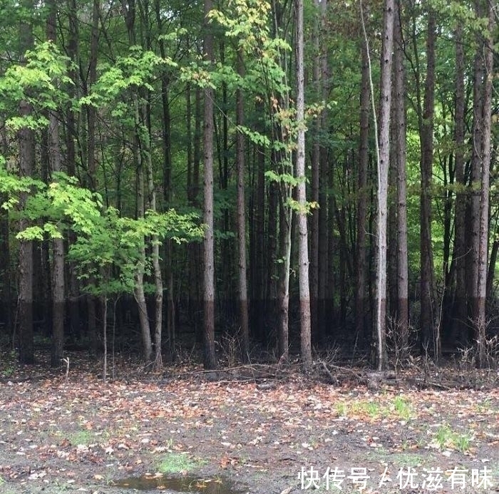 东边日出西边雨|25张“假”照片，1/1000秒能拍出镜子里外不同的自己？
