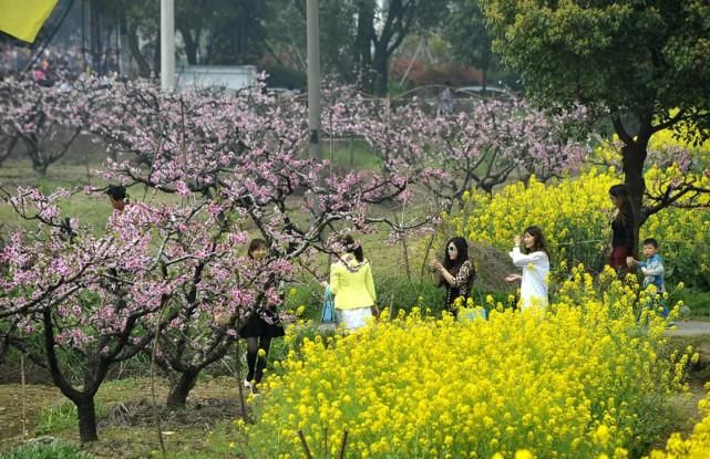 收藏！无锡春季赏花全攻略来了